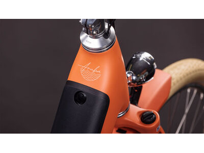 Cube Aruba Hybrid 600 click to zoom image